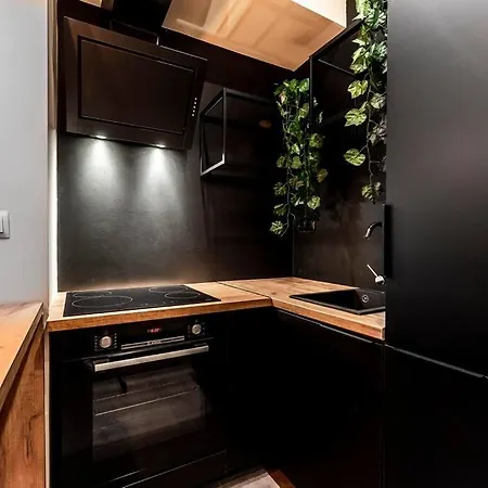 Krakowskie30 Loft1 Deptak *