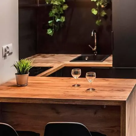 Krakowskie30 Loft1 Deptak * Люблин