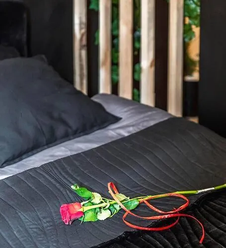 Krakowskie30 Loft1 Deptak Lejlighed *