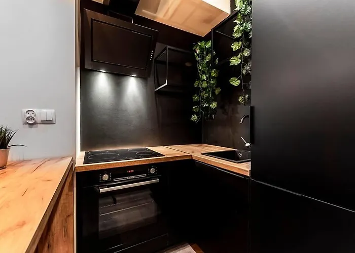 Krakowskie30 Loft1 Deptak *